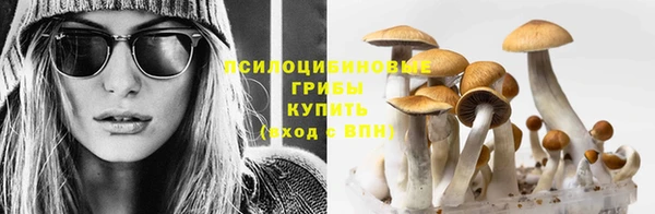 дмт Абаза