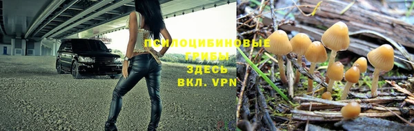 mdpv Алзамай
